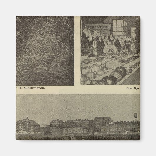 Washingtons vielseitiger Nervenkitzel Magnet (Vorne)