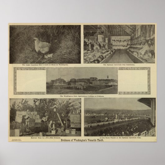 Washingtons vielseitiger Nervenkitzel Poster (Vorne)