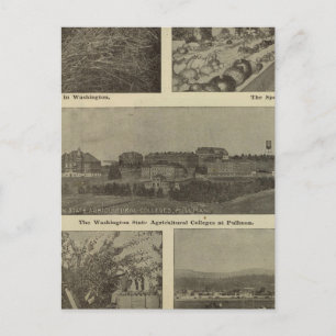 Washingtons vielseitiger Nervenkitzel Postkarte