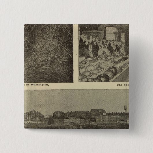 Washingtons vielseitiger Sparkurs Button (Vorderseite)
