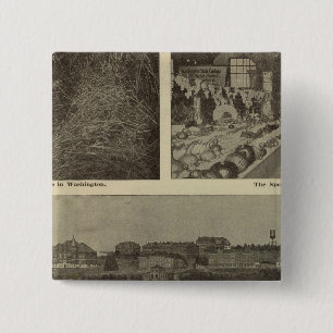 Washingtons vielseitiger Sparkurs Button