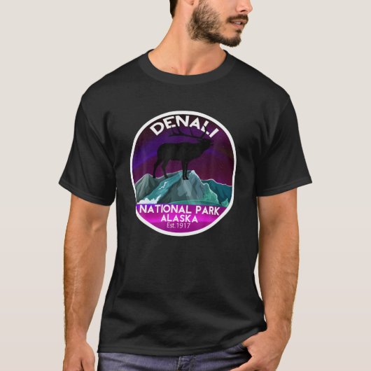 Wasilla Alaska Northern Lights T-Shirt (Vorderseite)