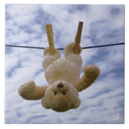 Waslijn met knuffelbeer die hangt te drogen. fliese