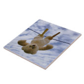 Waslijn met knuffelbeer die hangt te drogen. fliese (Seite)