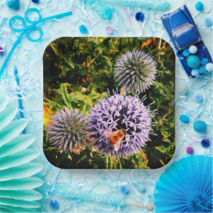 Wasp, auf blauen Blumen Pappteller
