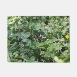 Wasp Door Mat Fußmatte