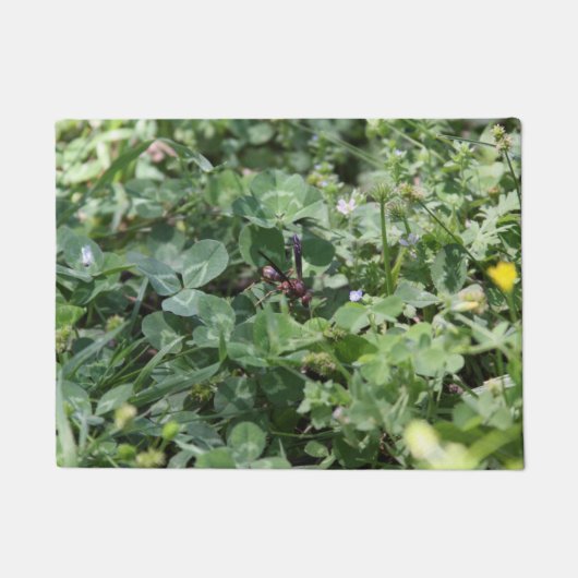 Wasp Door Mat Fußmatte (Vorderseite)