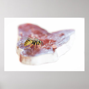 Wasp Essen eine Wurst Poster