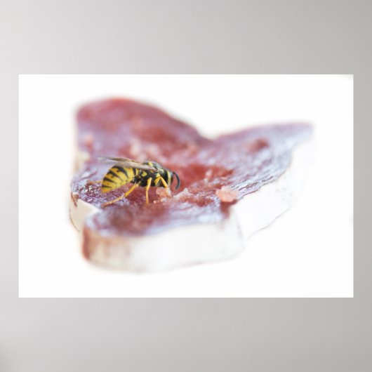Wasp Essen eine Wurst Poster (Vorne)