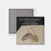 Wasp Fossil Florissant Fossil Betten Nationalmuseu Magnet (Vorderseite/Rückseite)