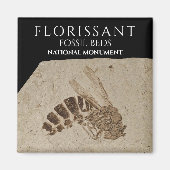Wasp Fossil Florissant Fossil Betten Nationalmuseu Magnet (Vorne)