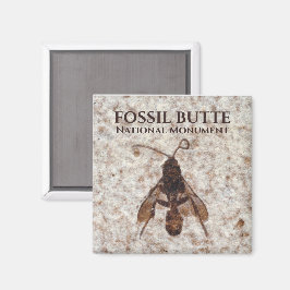 Wasp Fossil, Fossil Lake, Fossil Butte NM, Wyoming Magnet
