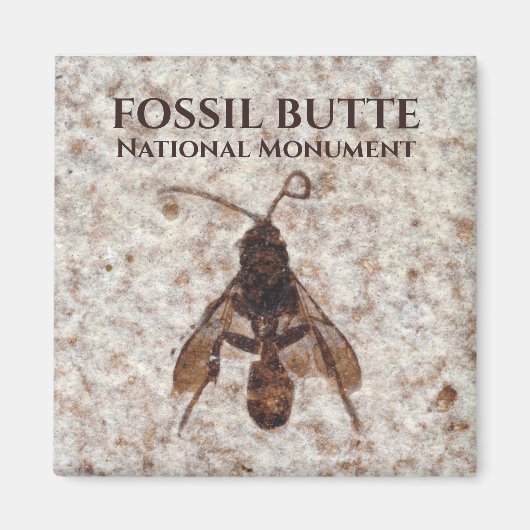 Wasp Fossil, Fossil Lake, Fossil Butte NM, Wyoming Magnet (Vorne)
