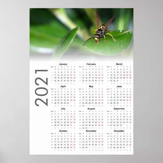 Wasp Kalender 2021 Poster - Montag starten (Vorne)