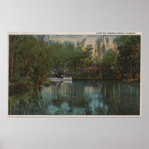 Wasser-Ansicht von Tomoka Fluss u. von Sumpf, Poster
