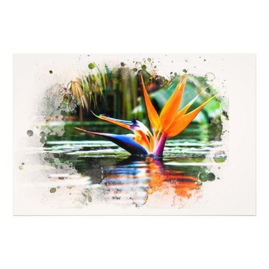 *~* Wasser AP10 Blume Bird of Paradise QR Pond Fotodruck (Vorne)