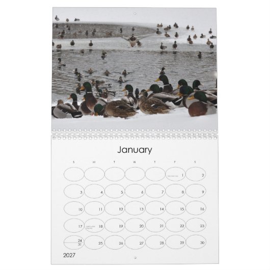Wasser auf dem Gehirn 2 Kalender (Jan 2027)