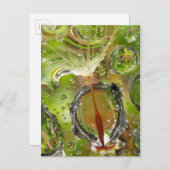 Wasser auf Löwensamen, CA Postkarte (Vorne/Hinten)