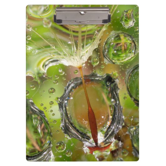 Wasser auf Löwenzahn, CA Klemmbrett (Vorderseite)