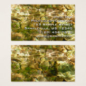 Wasser aus heißer Quellen, grüne Gold (Vorne & Hinten)