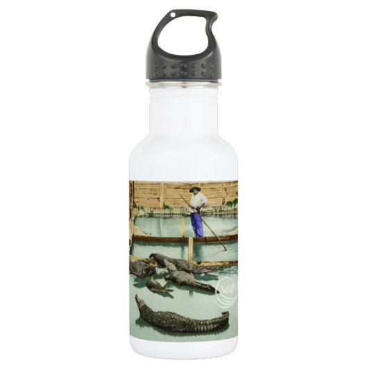 Wasser-Baby-Alligatorjoe-Wasser-Flasche Edelstahlflasche (Vorderseite)