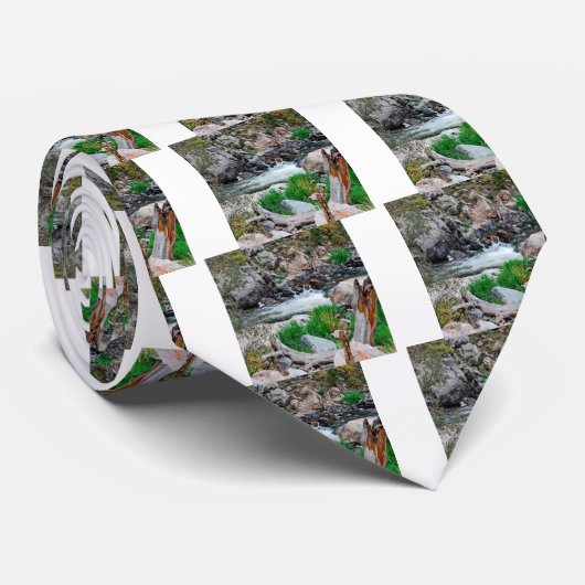 Wasser-Berg befeuchtet Krawatte (Gerollt)