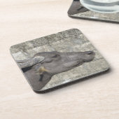 Wasser Buffalo Getränkeküste Getränkeuntersetzer (Linke Seite)