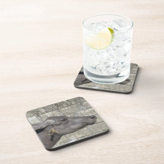 Wasser Buffalo Getränkeküste Getränkeuntersetzer (Rechte Seite)