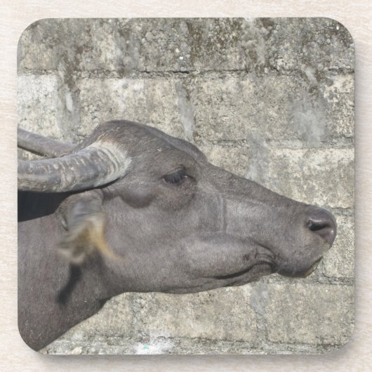 Wasser Buffalo Getränkeküste Getränkeuntersetzer (Vorderseite)