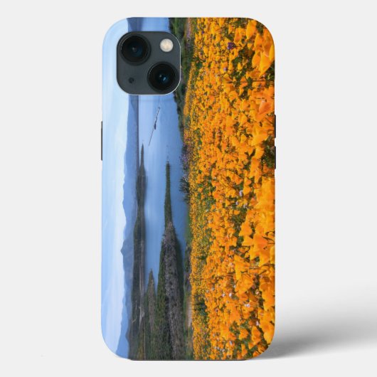 Wasser | California Lake with Golden Poppies Case-Mate iPhone Hülle (Rückseite)