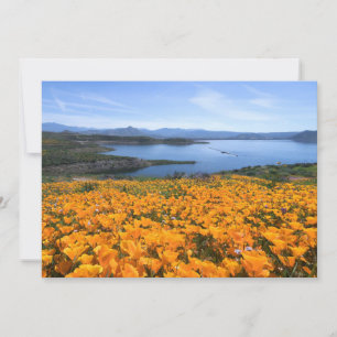 Wasser   California Lake with Golden Poppies Dankeskarte