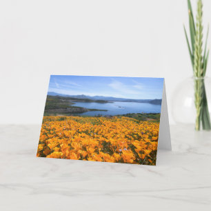 Wasser   California Lake with Golden Poppies Karte