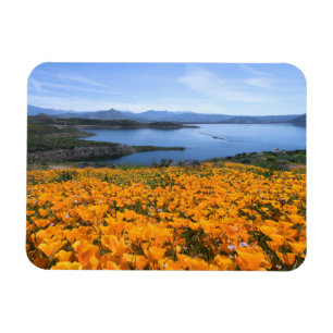 Wasser California Lake with Golden Poppies Magnet