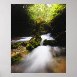 Wasser, das durch den bezauberten Mooswald fließt Poster