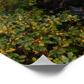 Wasser, das durch den Herbstwald fließt Poster (Ecke)