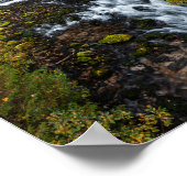 Wasser, das durch den Herbstwald fließt Poster (Ecke)