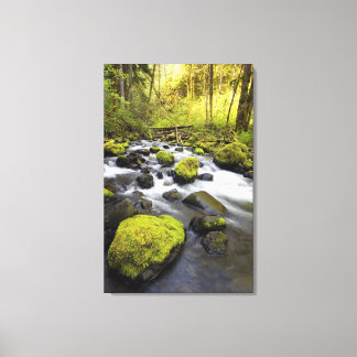 Wasser, das durch Moos bedeckt ist, Felsen in eine Leinwanddruck