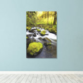 Wasser, das durch Moos bedeckt ist, Felsen in eine Leinwanddruck (Insitu (Holzboden))