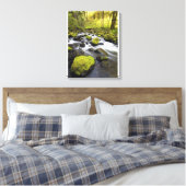 Wasser, das durch Moos bedeckt ist, Felsen in eine Leinwanddruck (Insitu (Schlafzimmer))