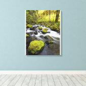 Wasser, das durch Moos bedeckt ist, Felsen in eine Leinwanddruck (Insitu (Holzboden))