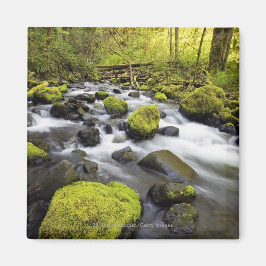 Wasser, das durch Moos bedeckt ist, Felsen in eine Magnet (Vorne)