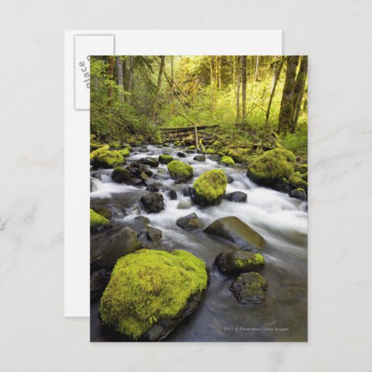 Wasser, das durch Moos bedeckt ist, Felsen in eine Postkarte (Vorne/Hinten)