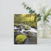 Wasser, das durch Moos bedeckt ist, Felsen in eine Postkarte (Stehend Vorderseite)