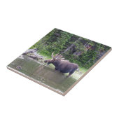 Wasser, das Elche füttert Fliese (Seite)