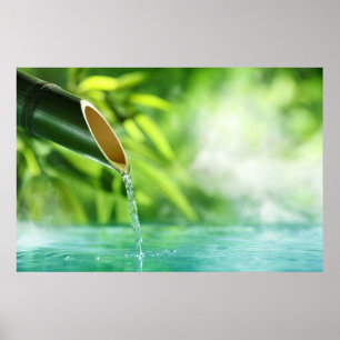 Wasser das Wunder des Lebens durch Heilung der Lie Poster