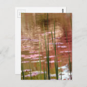 Wasser durch Schilf Postkarte (Vorne/Hinten)