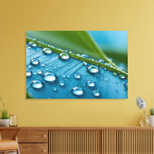 Wasser fällt auf Blätter Leinwanddruck (Insitu (Wohnzimmer))