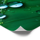 Wasser fällt auf Blätter Poster (Ecke)