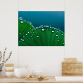 Wasser fällt auf Blätter Poster (Küche)