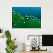 Wasser fällt auf Blätter Poster (Heimbüro)